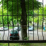 Appartement Foxy